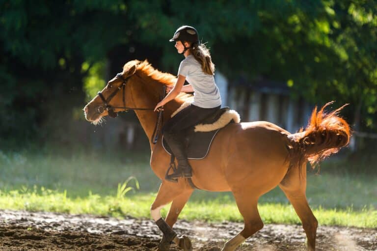 Youth Spotlight: How Working With Equines Builds Courage, Leadership & Grit