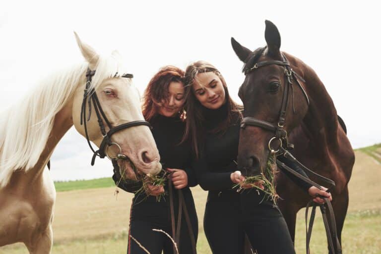 Finding Your People: Why Equestrian Community Matters in the Horse World