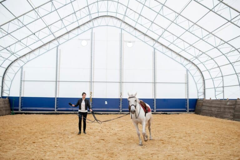 Starting a Young Horse Right: The First 30 Days That Matter Most
