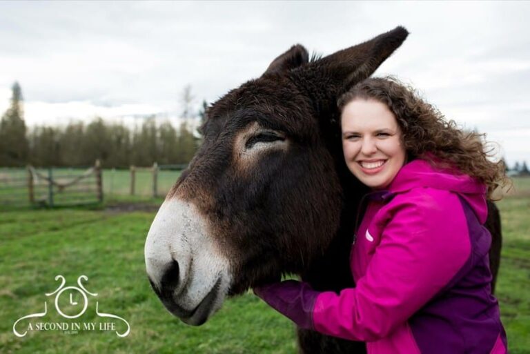 Why My Equine World Was Created (And What’s Been Missing in the Horse Industry)