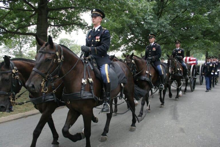 Horses in the U.S. Military: Honoring Service & Sacrifice This Memorial Day