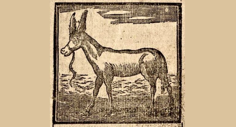 Royal Gift: The Donkey That Helped Shape America