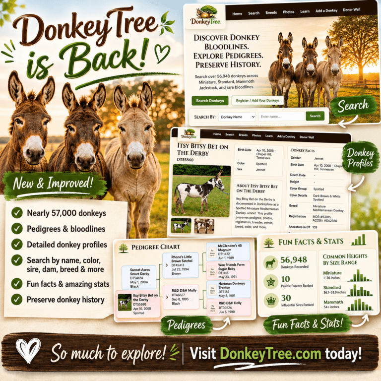 DonkeyTree