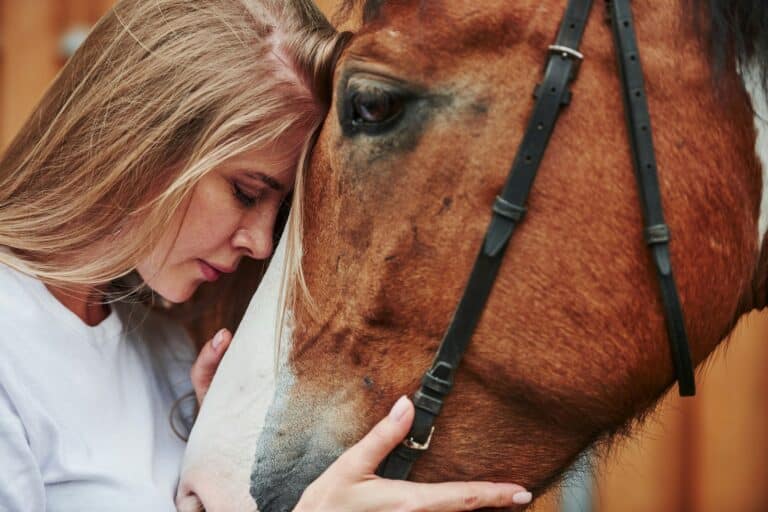10 Life Lessons I Learned From My Horse
