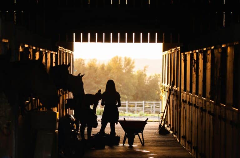 25 Essential Barn Supplies Every Horse Owner Should Keep on Hand